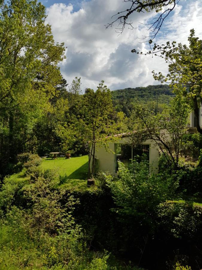 Beautiful Studio Surrounded By Nature Lanet Eksteriør billede
