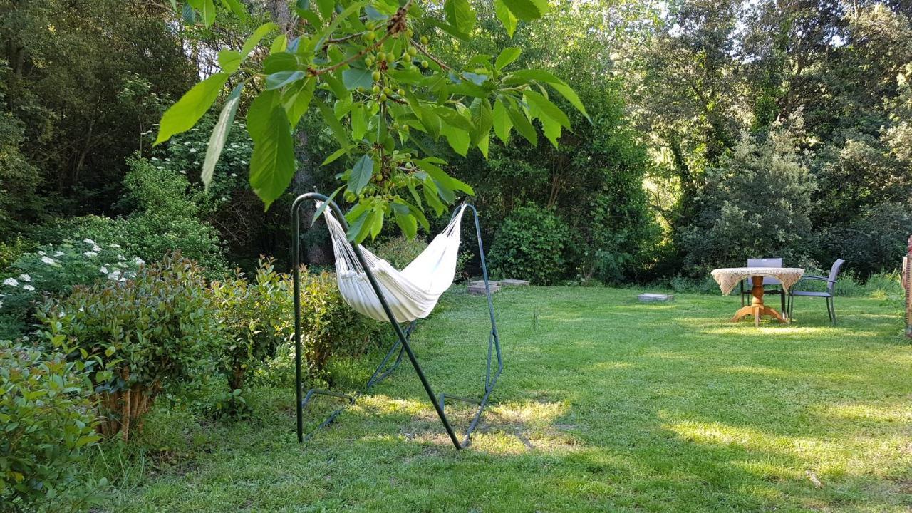 Beautiful Studio Surrounded By Nature Lanet Eksteriør billede