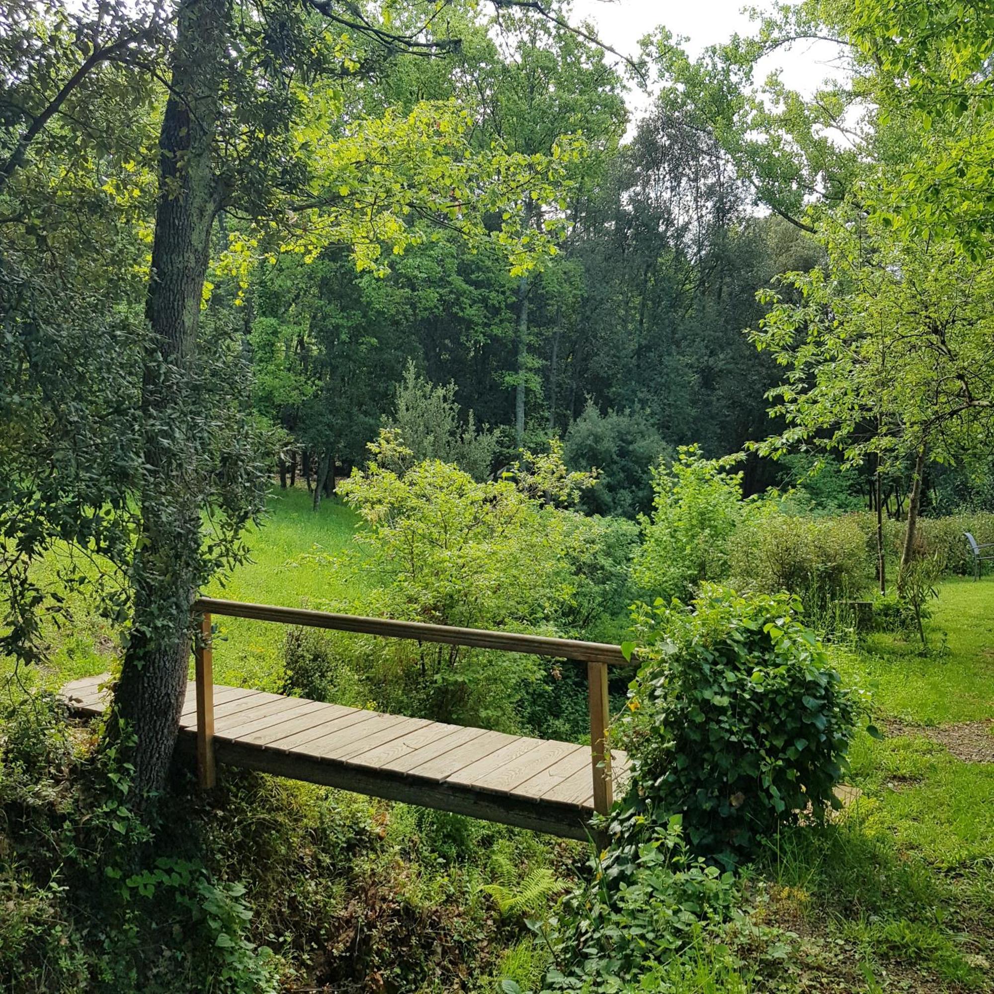 Beautiful Studio Surrounded By Nature Lanet Eksteriør billede